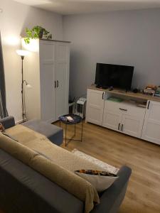 Televízia a/alebo spoločenská miestnosť v ubytovaní Apartament Czytelnia - parking gratis