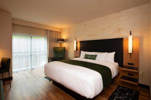 a bedroom with a large bed and a large window at The Swiftwater in Swiftwater