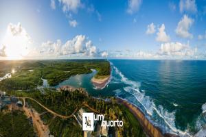 an aerial view of the ocean and the beach at Ponta de Inhambupe Residences in Baixio