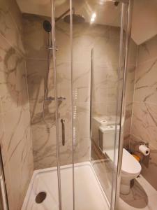 a bathroom with a shower and a toilet at Chelsea 2 bedroom promenade apartment in Blackpool