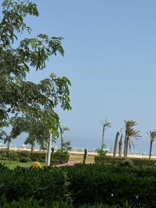 Gallery image of شاليه جديد في مارينا دلتا لاجونز in Balṭîm