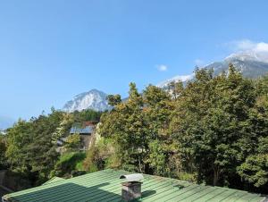 a house with a green roof with mountains in the background at Spacious Room in Tyrolean Flat in Innsbruck
