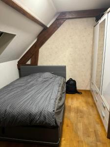 Un dormitorio con una cama en un ático en Noclegi77 - Auberge77, en Villiers-sous-Grez