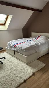 Cama en habitación con alfombra y ventana en Noclegi77 - Auberge77, en Villiers-sous-Grez