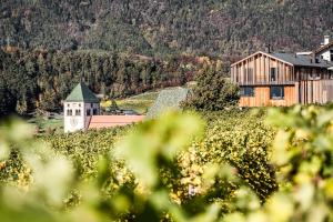 Paesaggio naturale nelle vicinanze dell'appartamento