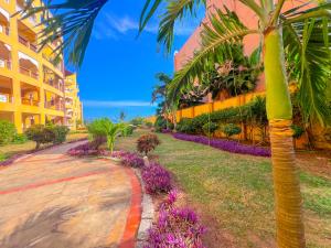 a palm tree next to a building with purple flowers at Shanzu Reef Beachfront Apartments in Mombasa