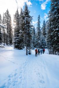 Το Field & Stream Lodge Bozeman τον χειμώνα