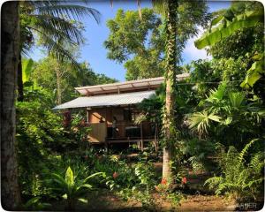 a small house in the middle of a forest at Cabaña Espavé - Arusí, Chocó in Nuquí