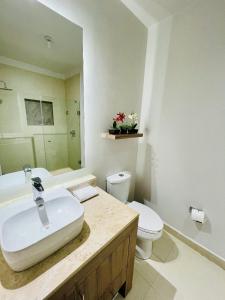 une salle de bain avec un lavabo, des toilettes et un miroir dans l'établissement Villa 8 frente al mar, à Zihuatanejo