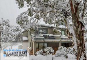 a house covered in snow with a tree at Wintergreen 3 - Thredbo in Thredbo