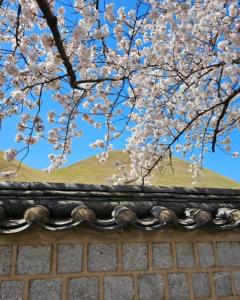 Fotografie z fotogalerie ubytování Casa Blue"머무는 여행자를 위한 밤의 감성 공간 in 경주" 황리단길5분,도보여행,독채,호스트 정보 확인 필수 v destinaci Kjongdžu