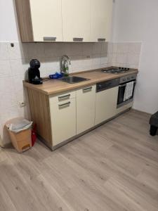 Kuchyňa alebo kuchynka v ubytovaní Apartments with WiFi Rijeka - 16539