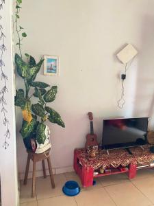 a living room with a tv and a plant at Casa na floresta cósmica in Ananindeua +18 photos