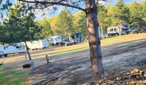 Fotografie z fotogalerie ubytování Daisy Lake RV Campground v destinaci Nevis