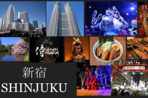a collage of pictures of buildings in a city at Rosenheim Tokyo Shinjuku in Tokyo +43 photos