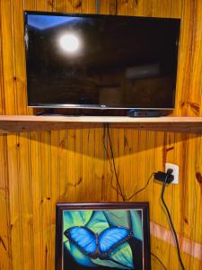 a television with a picture of a blue butterfly at Casa Dolce Vita in Puerto Viejo