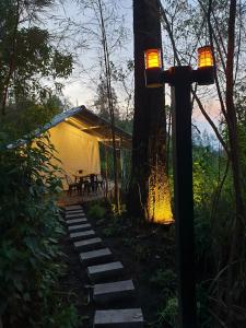 Zahrada ubytování I-glam Ijen