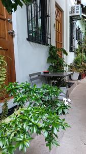 Zahrada ubytování Susing Seaside Guesthouse