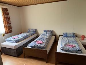 una habitación con dos camas en una habitación en Klausen Ranch, en Urnerboden