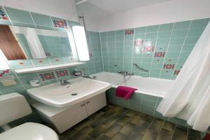 Koupelna v ubytování Apartment in Bad Herrenalb with indoor pool