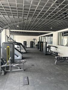 Fitness centrum a/nebo fitness zařízení v ubytování The Royal Retreat