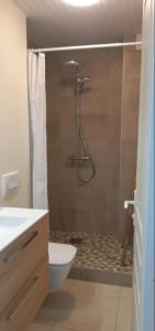a bathroom with a shower with a toilet and a sink at L'appartement de la plage in Le Diamant