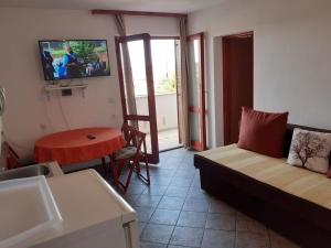 TV a/nebo společenská místnost v ubytování Apartments Vala