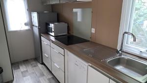 拉特斯特德布赫Mobil home Domaine de la Forge的带水槽和微波炉的小厨房