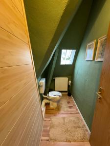 a bathroom with a toilet and a green wall at Villa Meuselwitz in Meuselwitz