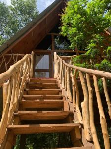 Foto dalla galleria di Angry Birds Tree house a Habarana