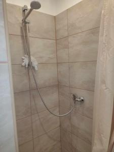Koupelna v ubytování Apartmán Hanka