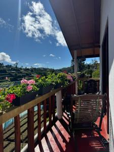 balcone con piante in vaso, tavolo e sedie di Cozy Heaven a Nuwara Eliya