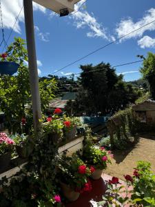 Giardino di Cozy Heaven