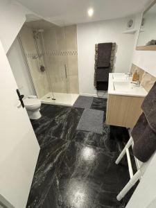 un bagno con doccia, lavandino e WC di Proximité RER A , souplex tout confort, 2 chambres a Saint-Maur-des-Fossés
