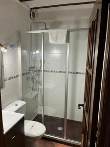 a bathroom with a shower and a toilet at La Casita Roja Del Arcoíris in Riópar