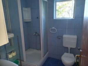 een blauwe badkamer met een toilet en een douche bij Apartment Igi in Sušica +20 foto's