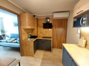 a small kitchen with a sink and a counter at AE BERG Apartamenty in Ujazd