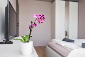 TV a/nebo společenská místnost v ubytování GoldenHugo rooms