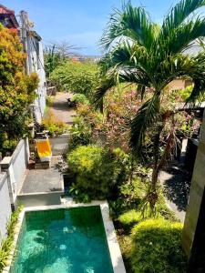 a small swimming pool in a garden with a palm tree at Canggu Surf Villa in Canggu