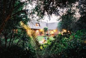 a large house with a yard with trees and plants at Natures Valley BnB in Natureʼs Valley
