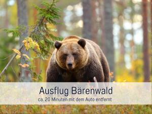 Fotografie z fotogalerie ubytování Strandhaus Mathea - ruhige Lage direkt am Fleesensee - Parkplatz, Kamin, Sauna - familienfreundlich v destinaci Unter Göhren