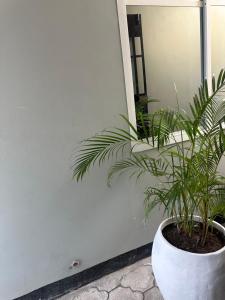 Fotografie z fotogalerie ubytování Amazing home stays 9 v destinaci Dar es Salaam + 49 fotografií