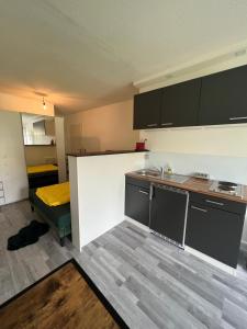 Η κουζίνα ή μικρή κουζίνα στο Cozy Apartment in Mochenwangen +1 φωτογραφίες