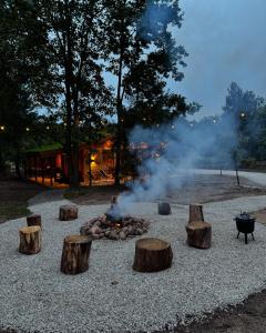 a fire pit with logs and a grill at Sosnowy zakątek in Kazimierz Dolny