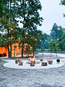 a fire pit in the middle of a field with trees at Sosnowy zakątek in Kazimierz Dolny