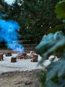 a fire pit with logs and blue smoke at Sosnowy zakątek in Kazimierz Dolny