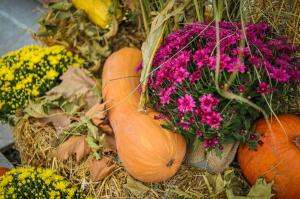 صورة لـ Romantic Holiday Studio في ساينت قسطنطين وهيلينا +33 صورة