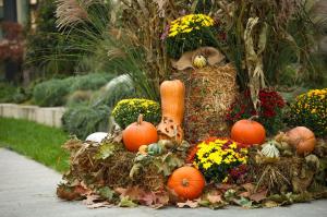 صورة لـ Romantic Holiday Studio في ساينت قسطنطين وهيلينا