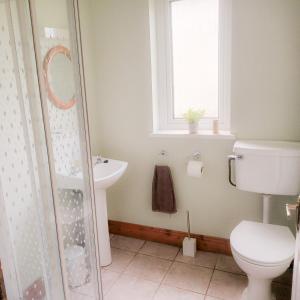a bathroom with a toilet and a sink and a window at Seamount Holiday Village No 26 by Trident Holiday Homes in Courtown