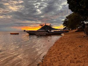 a couple of boats sitting on the shore of a beach at Tiger fish homestay in Bunaken